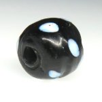 画像4: ブラックスカンク (4)