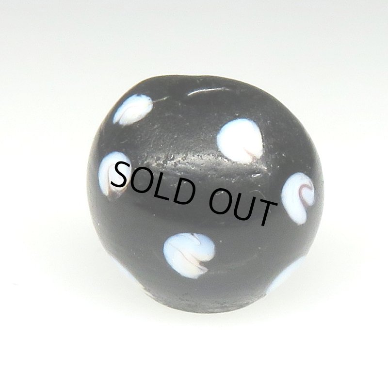 画像2: ブラックスカンク (2)