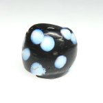 画像1: ブラックスカンク (1)