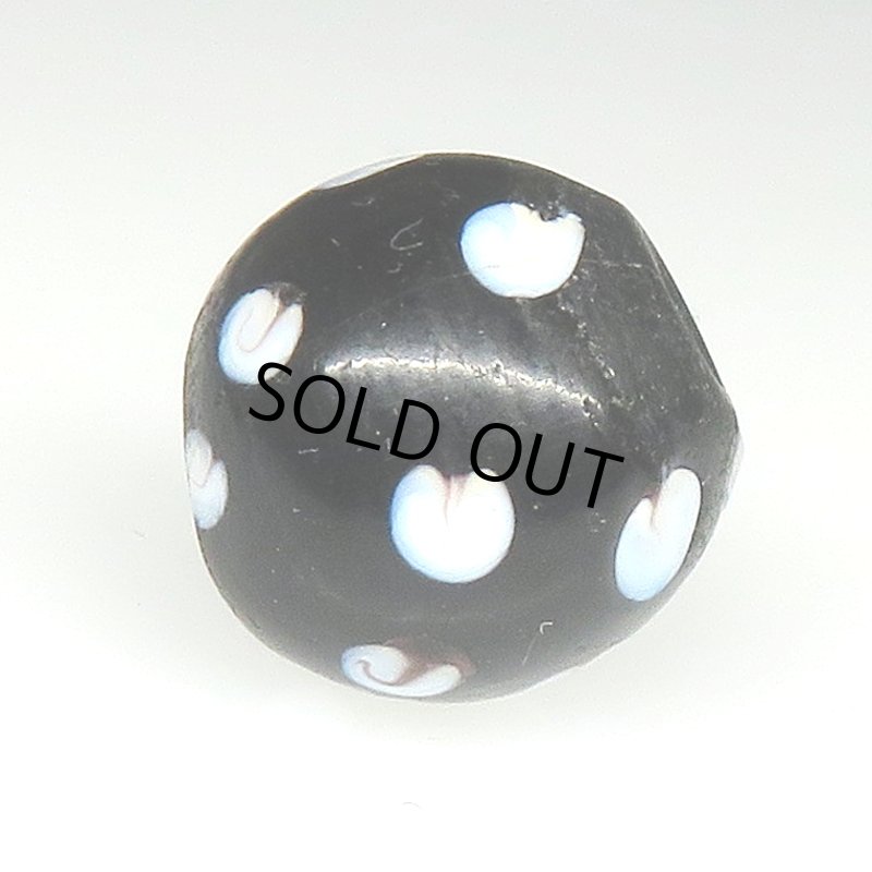 画像3: ブラックスカンク (3)