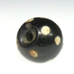 画像4: ブラックスカンク (4)