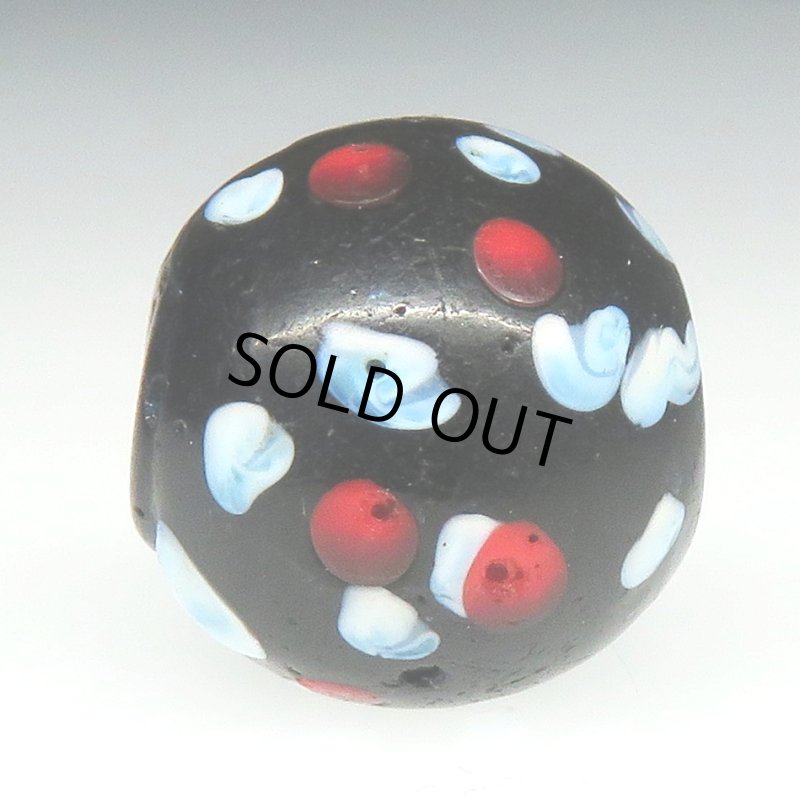 画像3: 美赤い目のブラックスカンク大 (3)