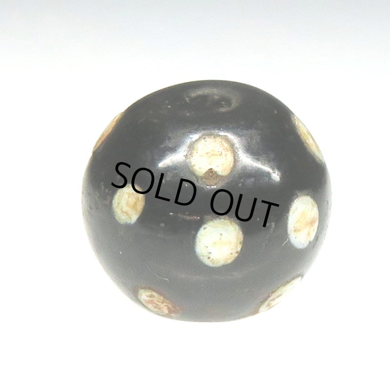 画像2: ブラックスカンク (2)