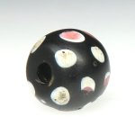 画像4: 薄紅色の目ブラックスカンク (4)