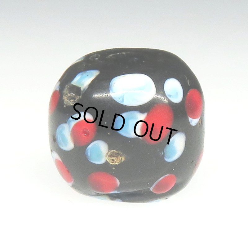 画像2: 美赤い目のブラックスカンク (2)