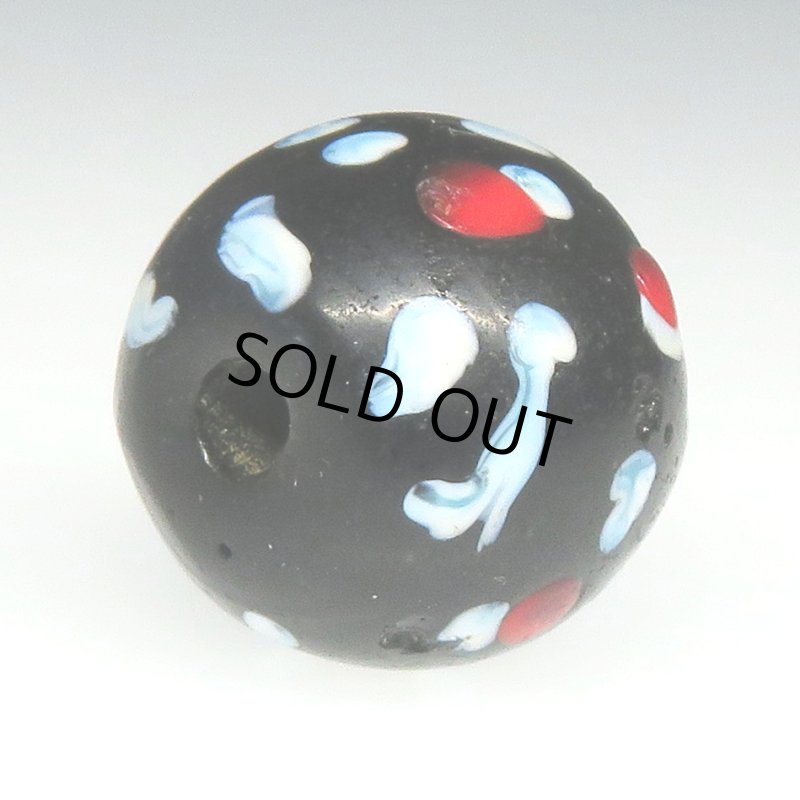 画像4: 美赤い目のブラックスカンク大 (4)