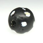 画像4: ブラックスカンク (4)