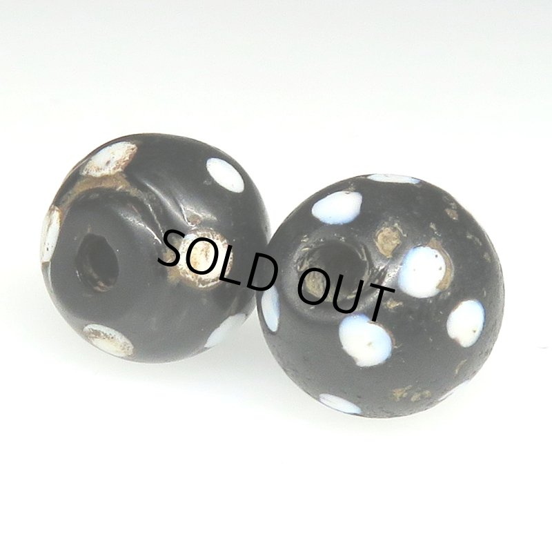 画像4: ブラックスカンク　2個セット (4)