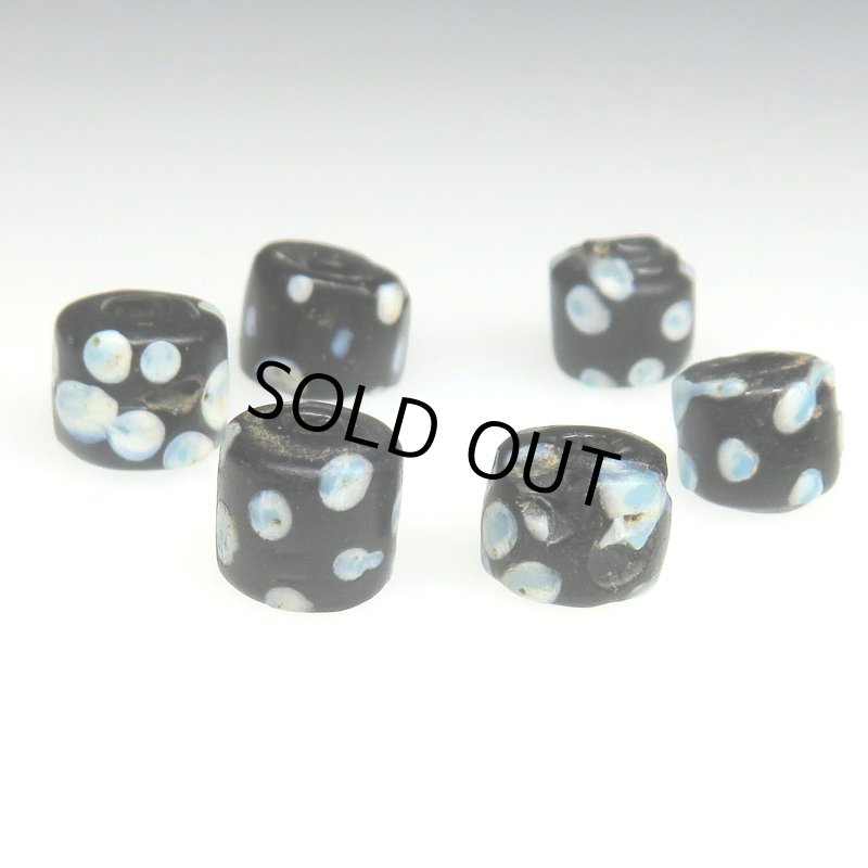 画像3: 小粒ブラックスカンク　6個セット (3)