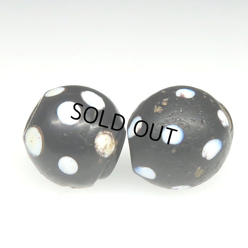 画像3: ブラックスカンク　2個セット (3)