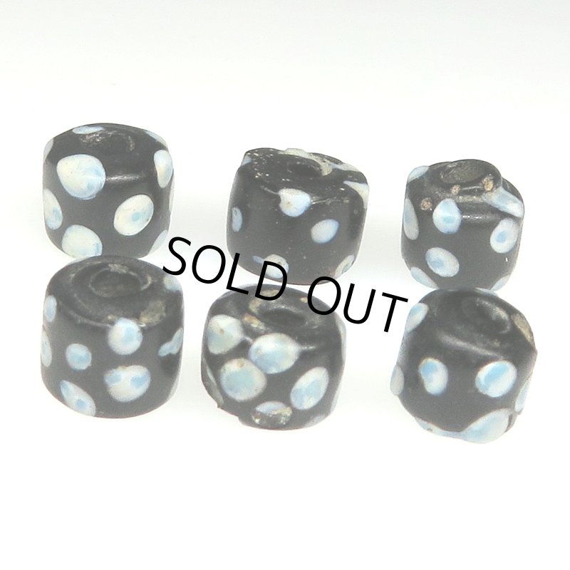 画像2: 小粒ブラックスカンク　6個セット (2)