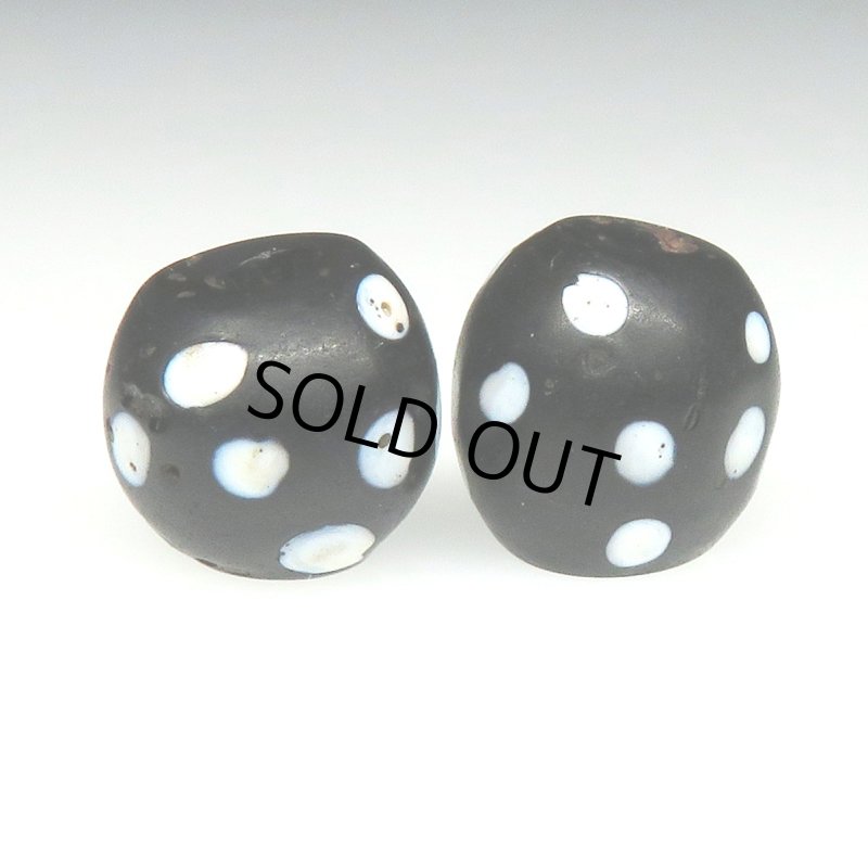 画像2: ブラックスカンク　2個セット (2)