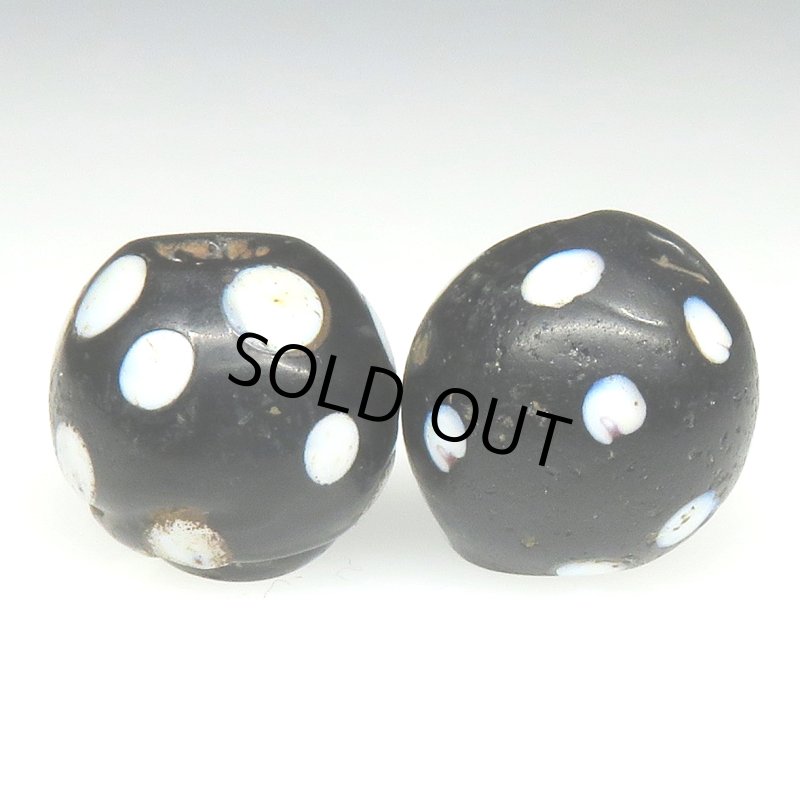 画像2: ブラックスカンク　2個セット (2)