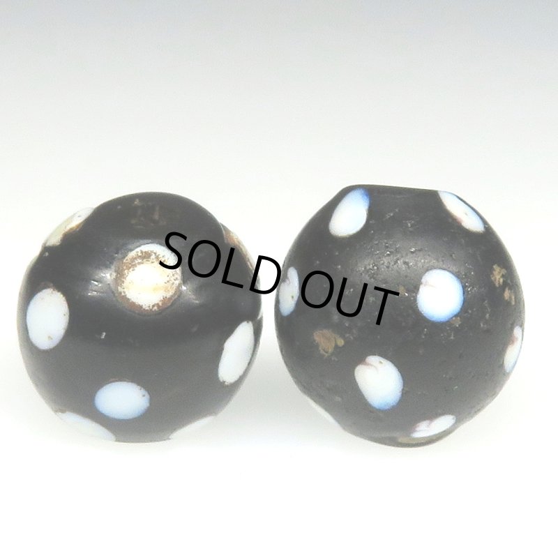 画像1: ブラックスカンク　2個セット (1)