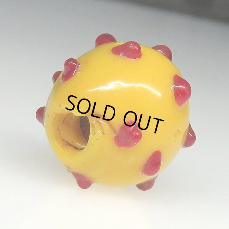 画像4: 美赤目のレイズドドットスカンク (4)