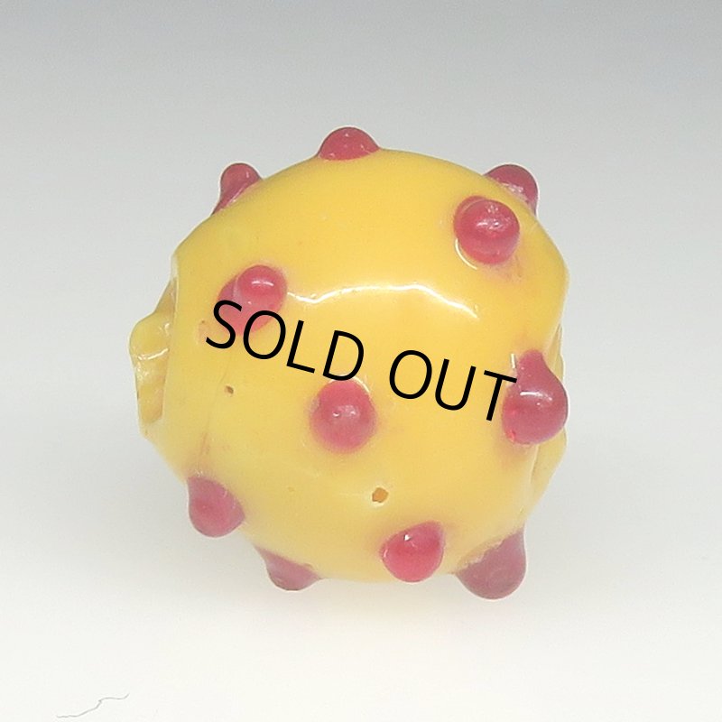 画像3: 美赤目のレイズドドットスカンク (3)