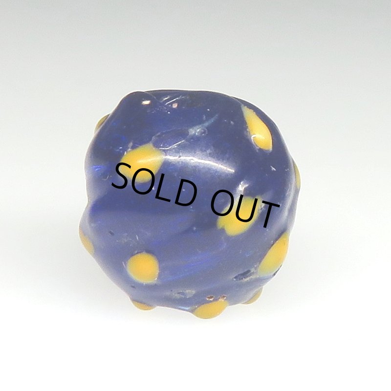 画像1: 瑠璃色のレイズドドットスカンク (1)