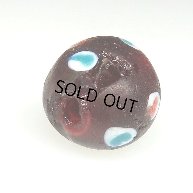 画像4: クランベリースカンク (4)