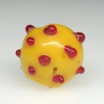 画像1: 美赤目のレイズドドットスカンク (1)