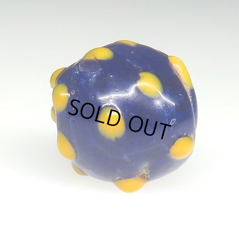 画像3: 瑠璃色のレイズドドットスカンク (3)