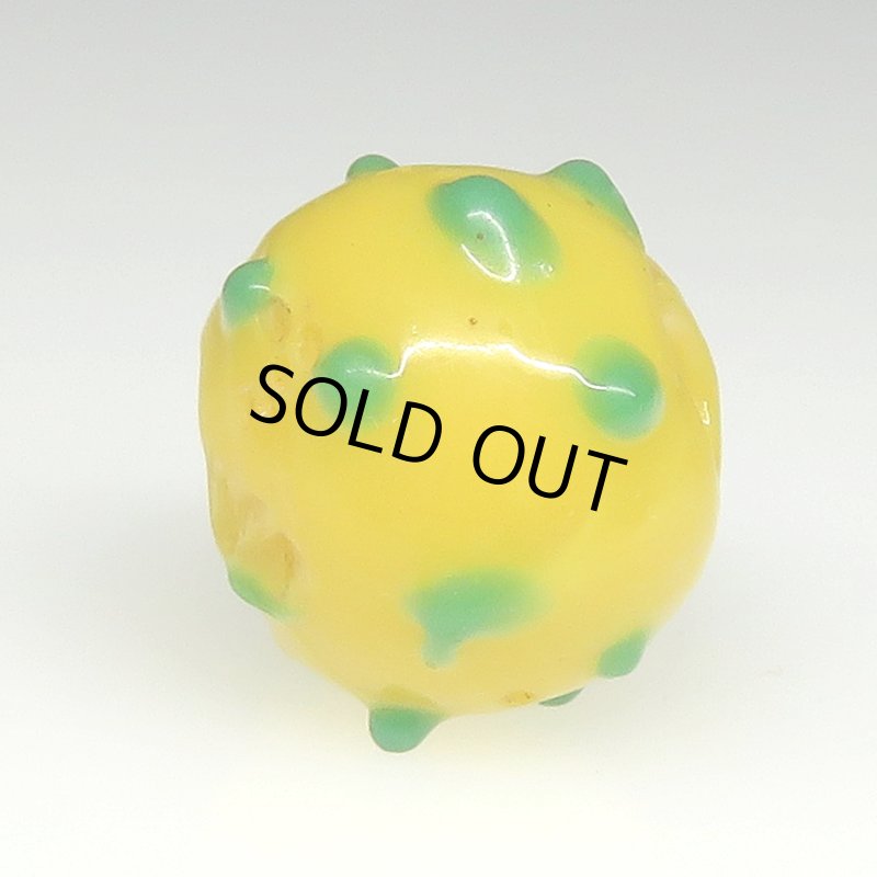 画像3: 美黄色のレイズドドットスカンク (3)