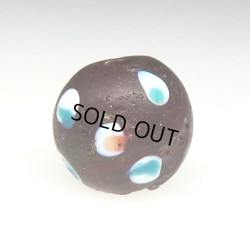 画像1: クランベリースカンク (1)