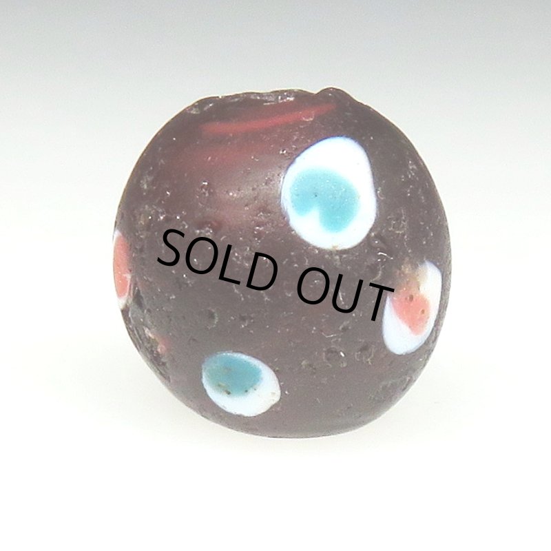 画像2: クランベリースカンク (2)