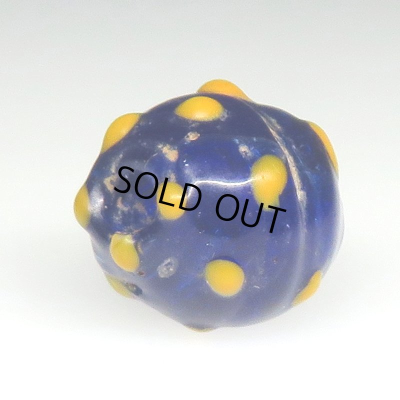 画像4: 瑠璃色のレイズドドットスカンク (4)