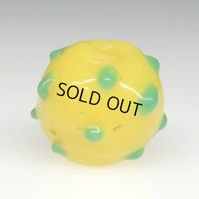 画像1: 美黄色のレイズドドットスカンク (1)