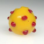 画像2: 美赤目のレイズドドットスカンク (2)