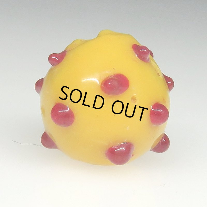 画像2: 美赤目のレイズドドットスカンク (2)