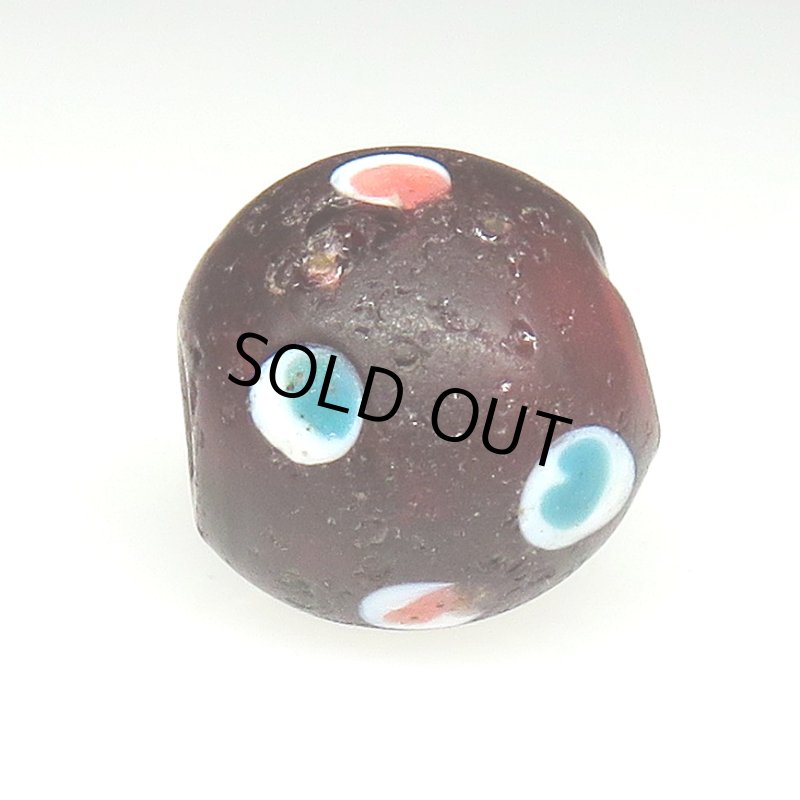 画像3: クランベリースカンク (3)