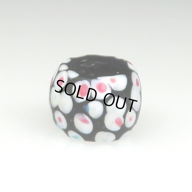 画像1: 美サウザンドアイ (1)