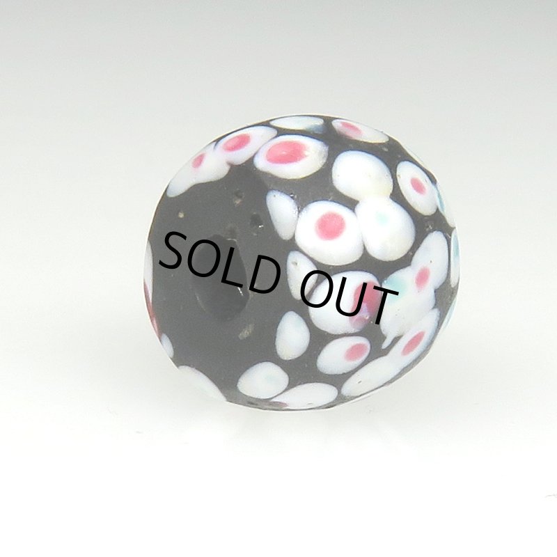 画像4: 美サウザンドアイ (4)