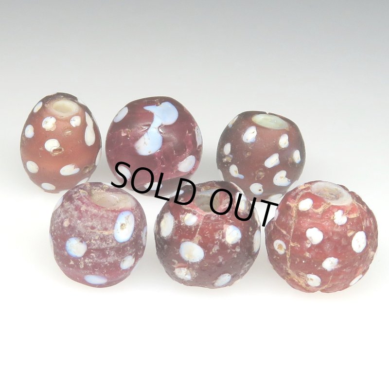 画像2: レッドスカンク 難あり (2)