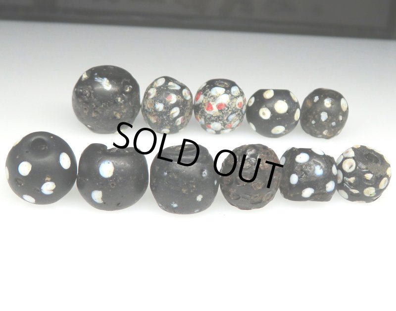 画像2: ブラックスカンク　難あり (2)