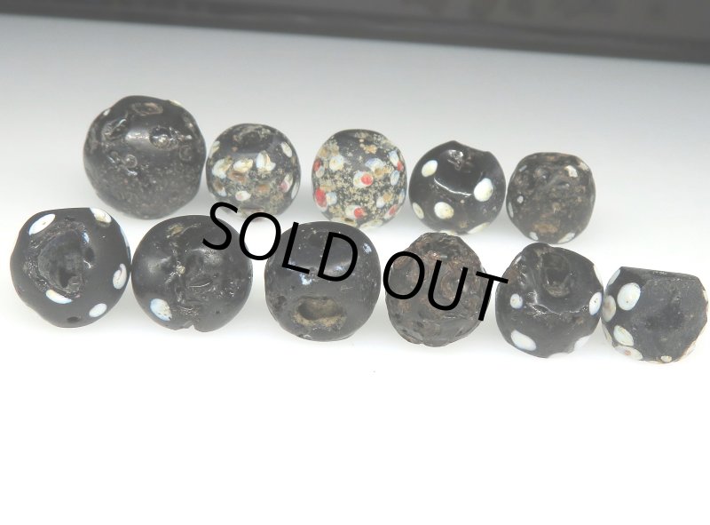 画像3: ブラックスカンク　難あり (3)