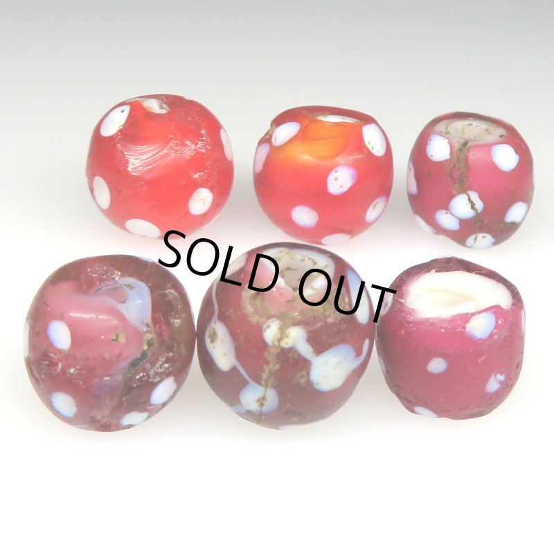 画像3: レッドスカンク　難あり (3)