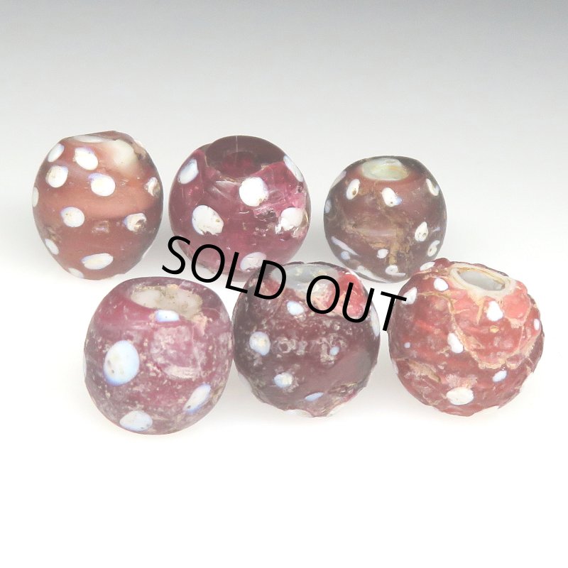 画像3: レッドスカンク 難あり (3)