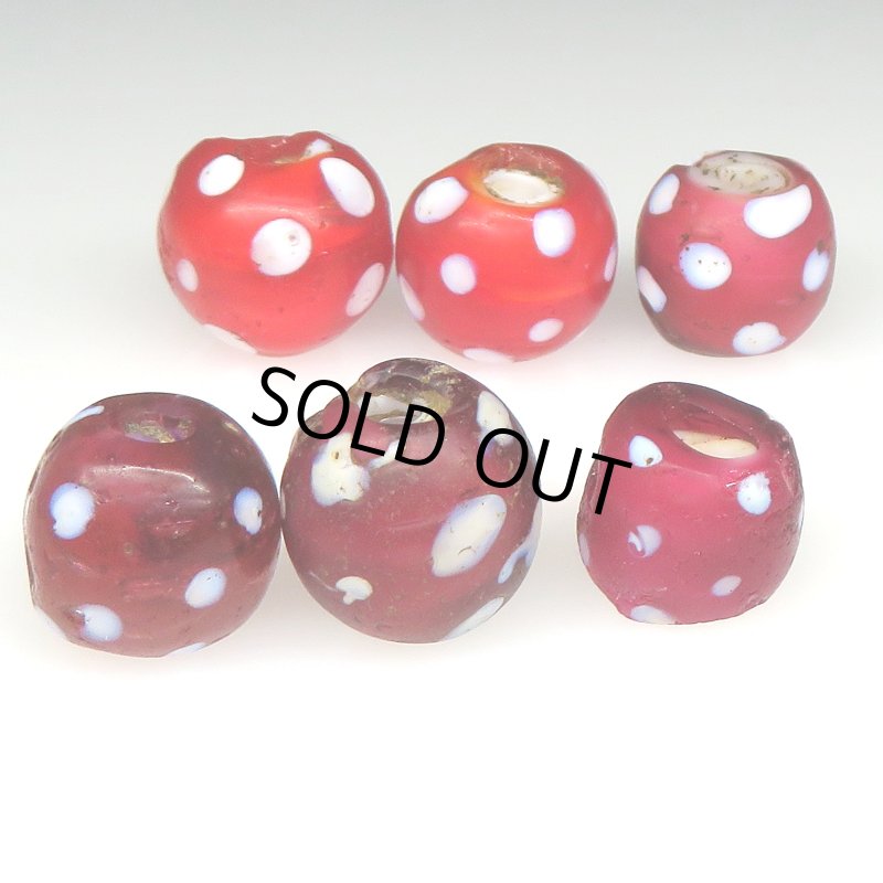 画像2: レッドスカンク　難あり (2)