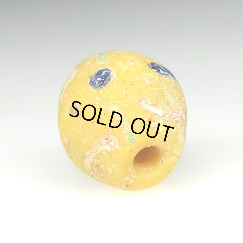 画像4: ベビーキング黄 (4)