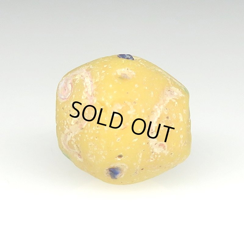 画像3: ベビーキング黄 (3)