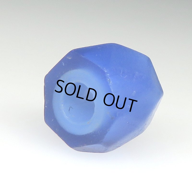 画像4: 美ロシアンブルー　 (4)