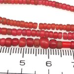 画像2: 小粒金赤ホワイトハーツ連 (2)