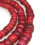 画像3: 太美金赤ホワイトハーツ連 (3)