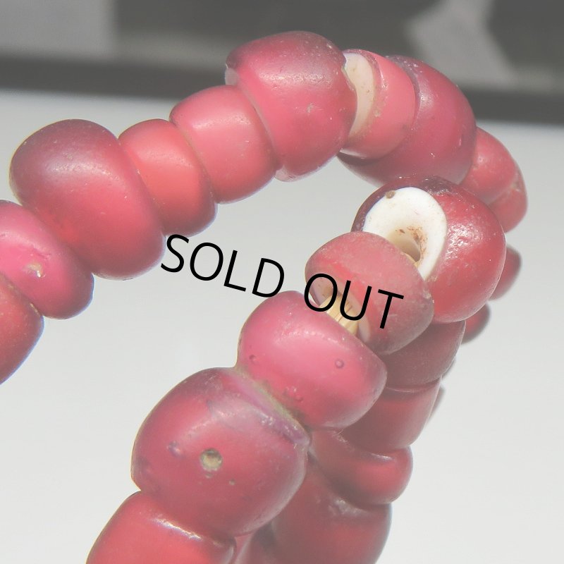 画像6: 太美金赤ホワイトハーツ連 (6)