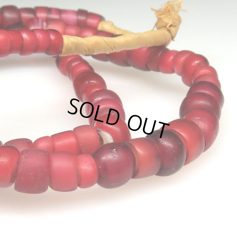 画像5: 太美金赤ホワイトハーツ連 (5)