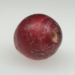 画像4: 血赤ホワイトハーツ大 (4)