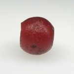 画像3: 血赤ホワイトハーツ大 (3)