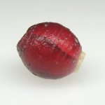 画像3: 血赤ホワイトハーツ大 (3)